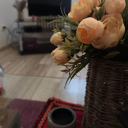 크라이오바 Deea Apartament 아파트 외부 사진